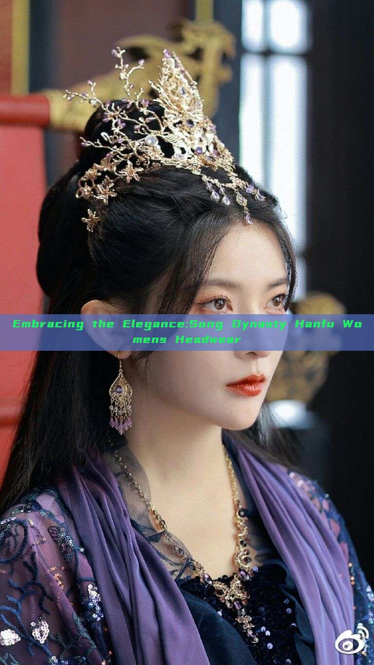 Embracing the Elegance:Song Dynasty Hanfu Womens Headwear Embracing the Elegance:Song Dynasty Hanfu Womens Headwear