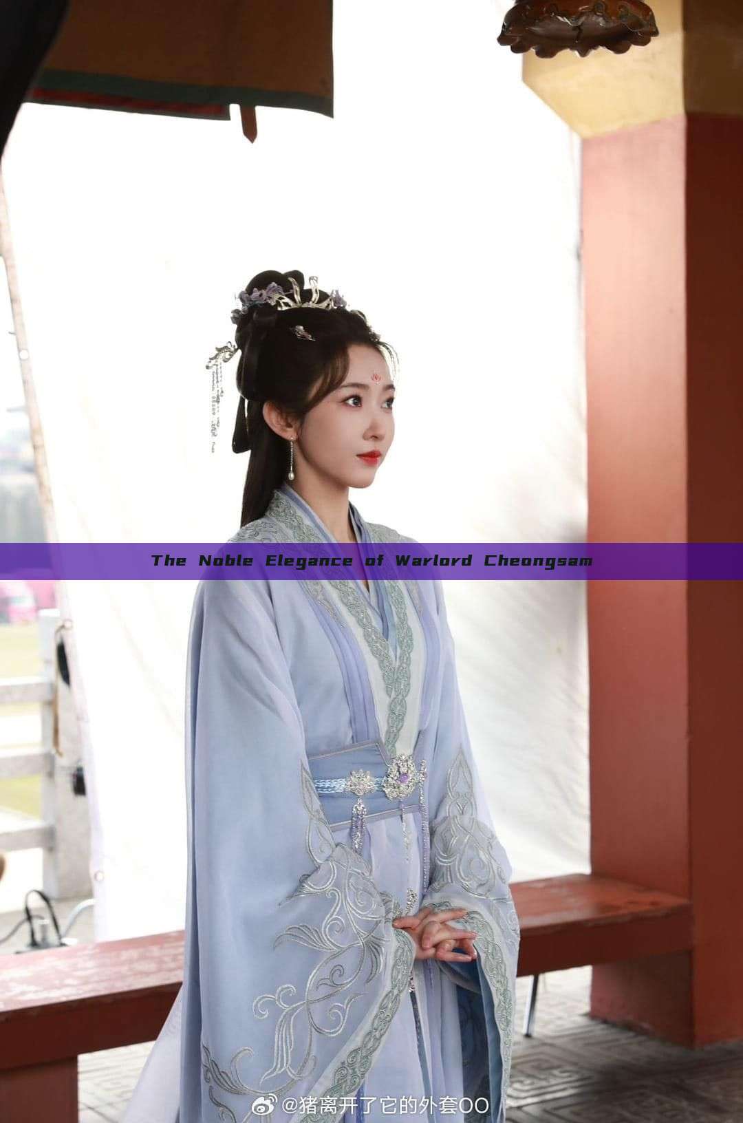 The Noble Elegance of Warlord Cheongsam The Noble Elegance of Warlord Cheongsam