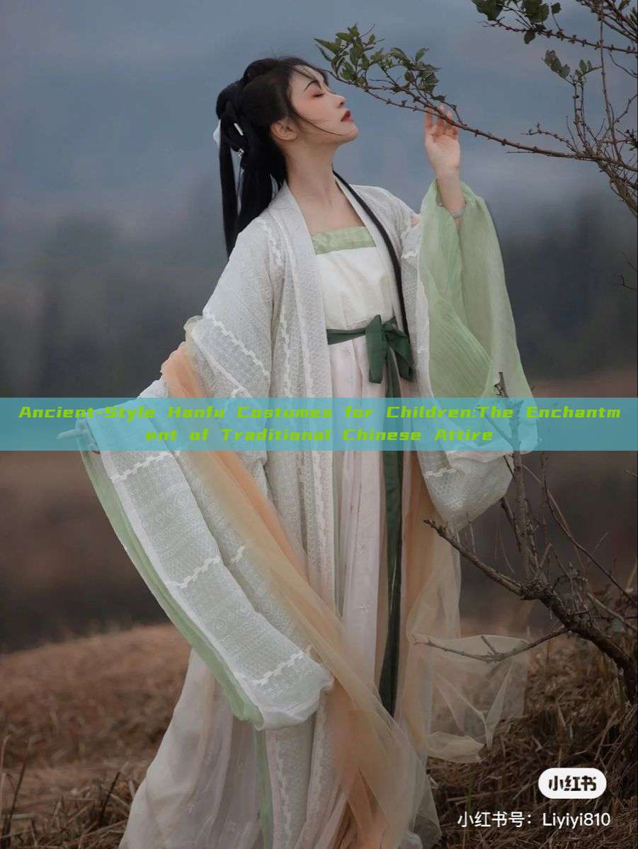 Ancient-Style Hanfu Costumes for Children:The Enchantment of Traditional Chinese Attire Ancient-Style Hanfu Costumes for Children:The Enchantment of Traditional Chinese Attire