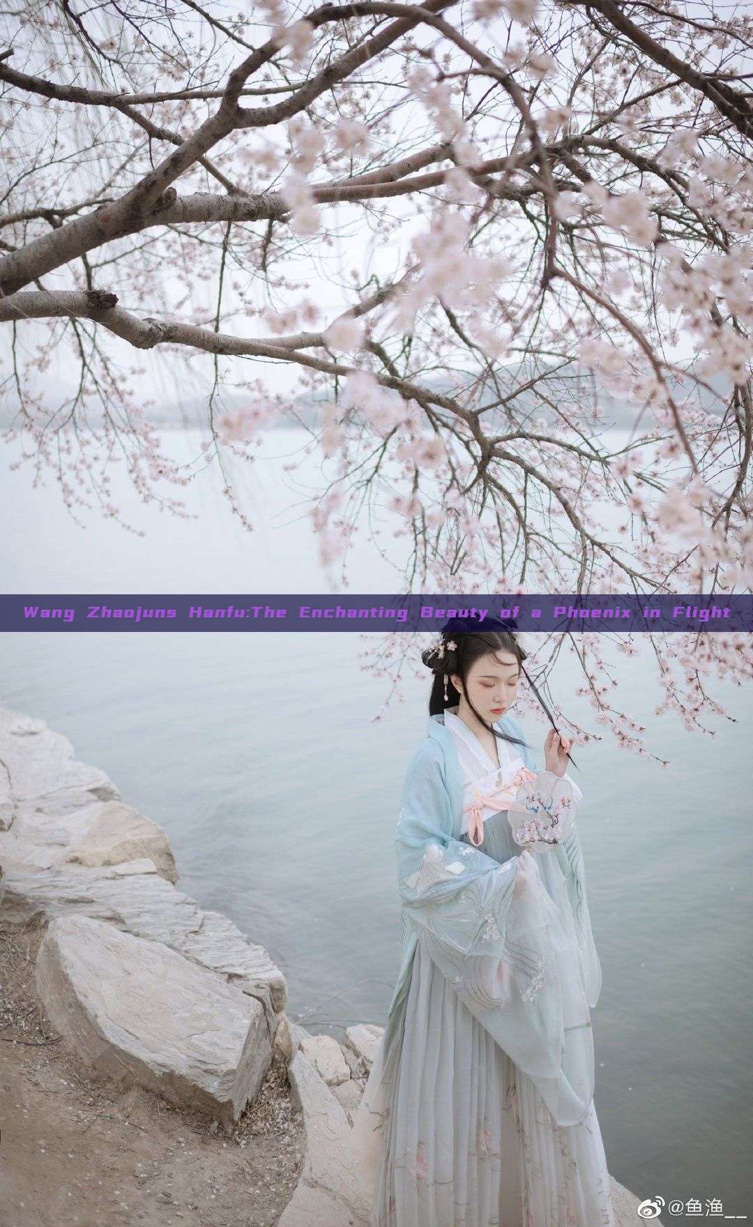 Wang Zhaojuns Hanfu:The Enchanting Beauty of a Phoenix in Flight Wang Zhaojuns Hanfu:The Enchanting Beauty of a Phoenix in Flight