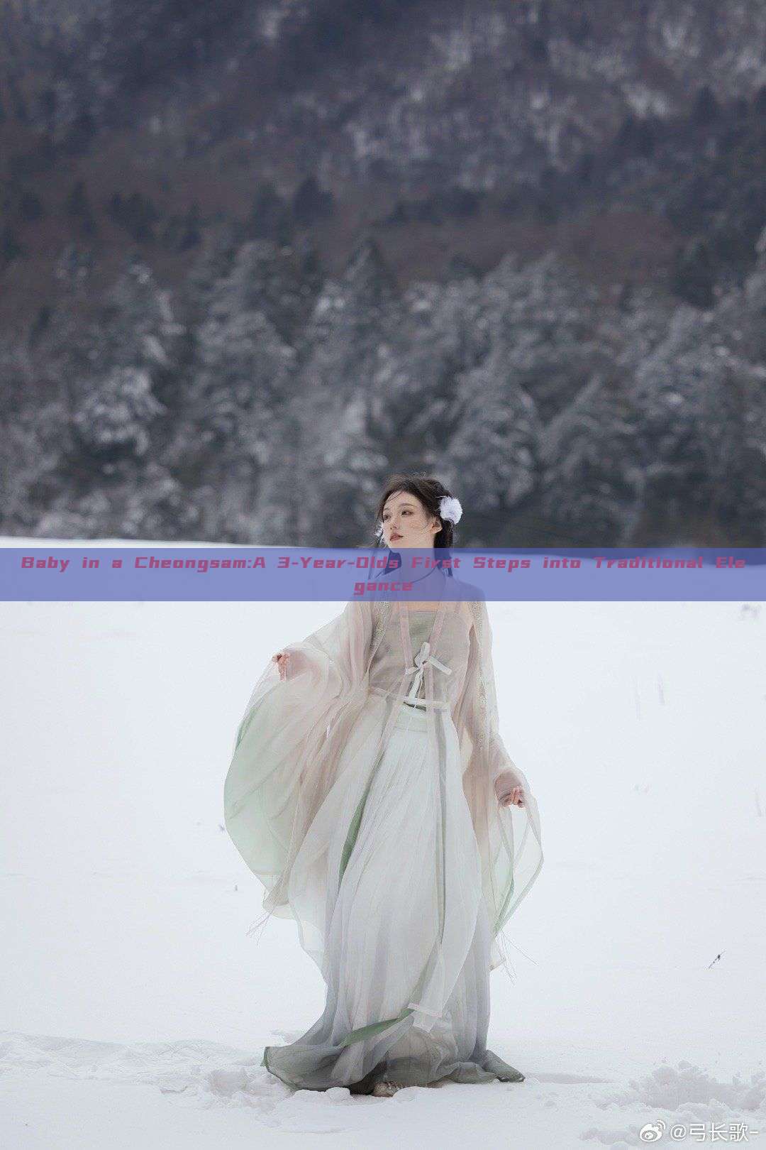 Baby in a Cheongsam:A 3-Year-Olds First Steps into Traditional Elegance Baby in a Cheongsam:A 3-Year-Olds First Steps into Traditional Elegance