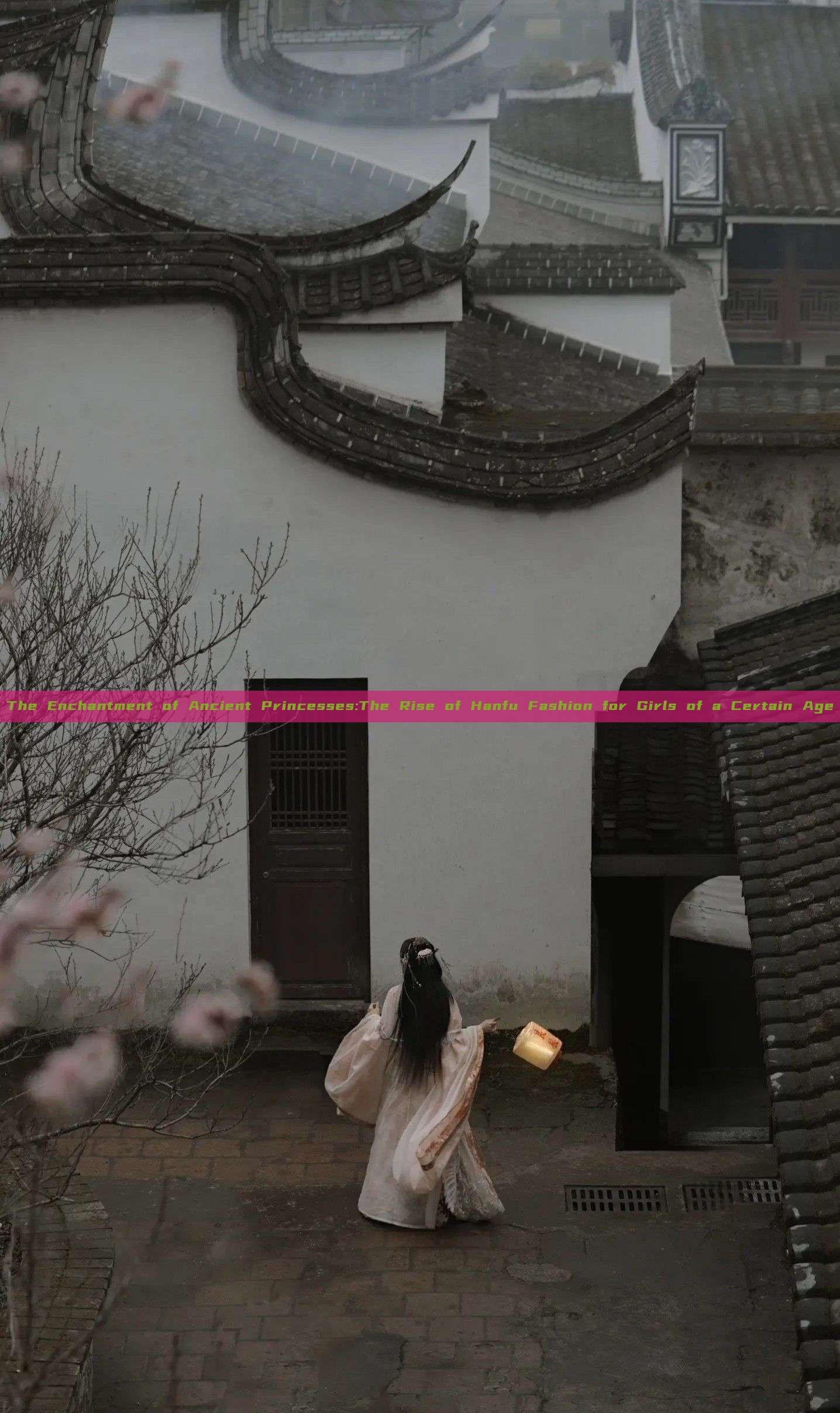 The Enchantment of Ancient Princesses:The Rise of Hanfu Fashion for Girls of a Certain Age The Enchantment of Ancient Princesses:The Rise of Hanfu Fashion for Girls of a Certain Age