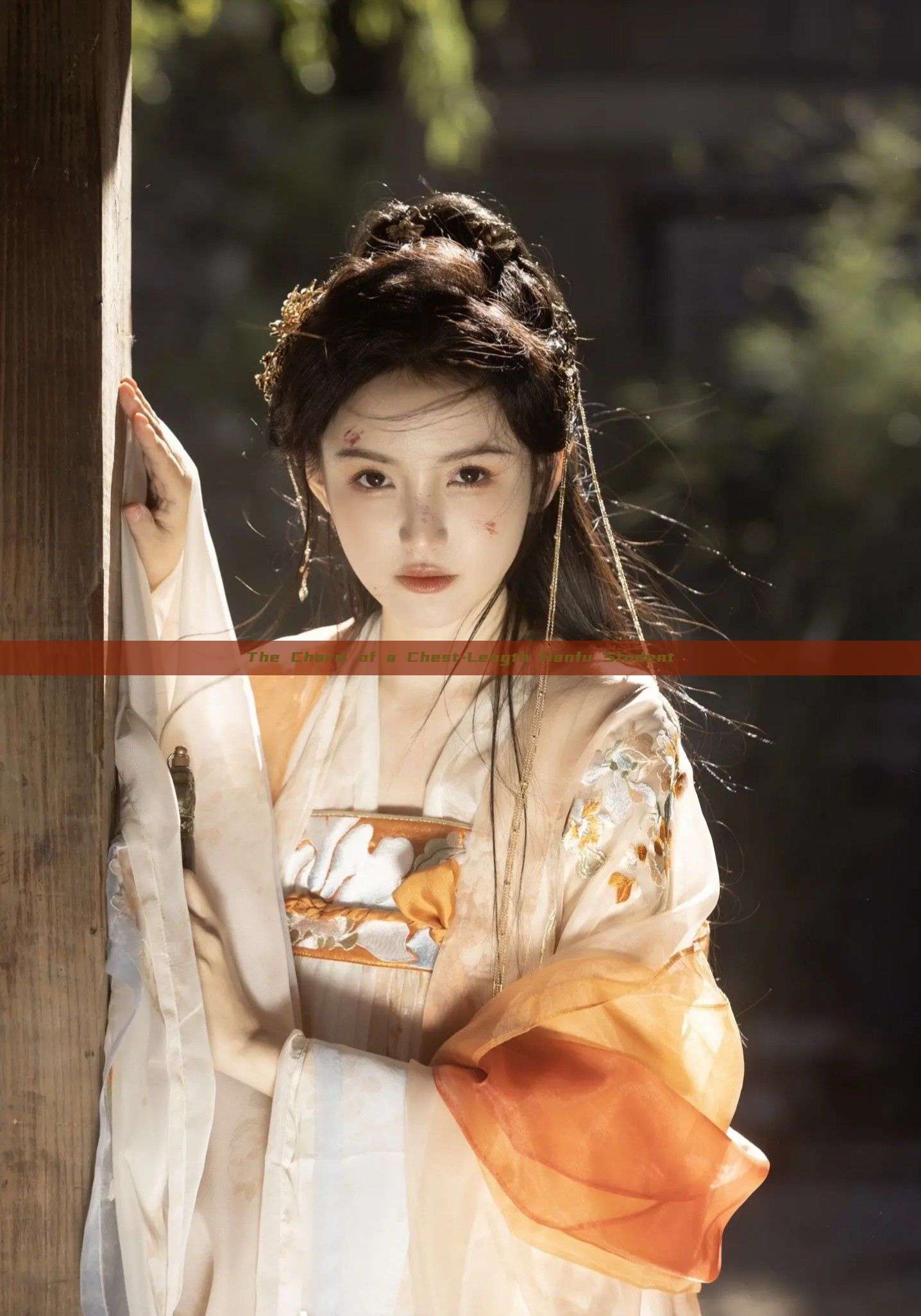 The Charm of a Chest-Length Hanfu Student The Charm of a Chest-Length Hanfu Student