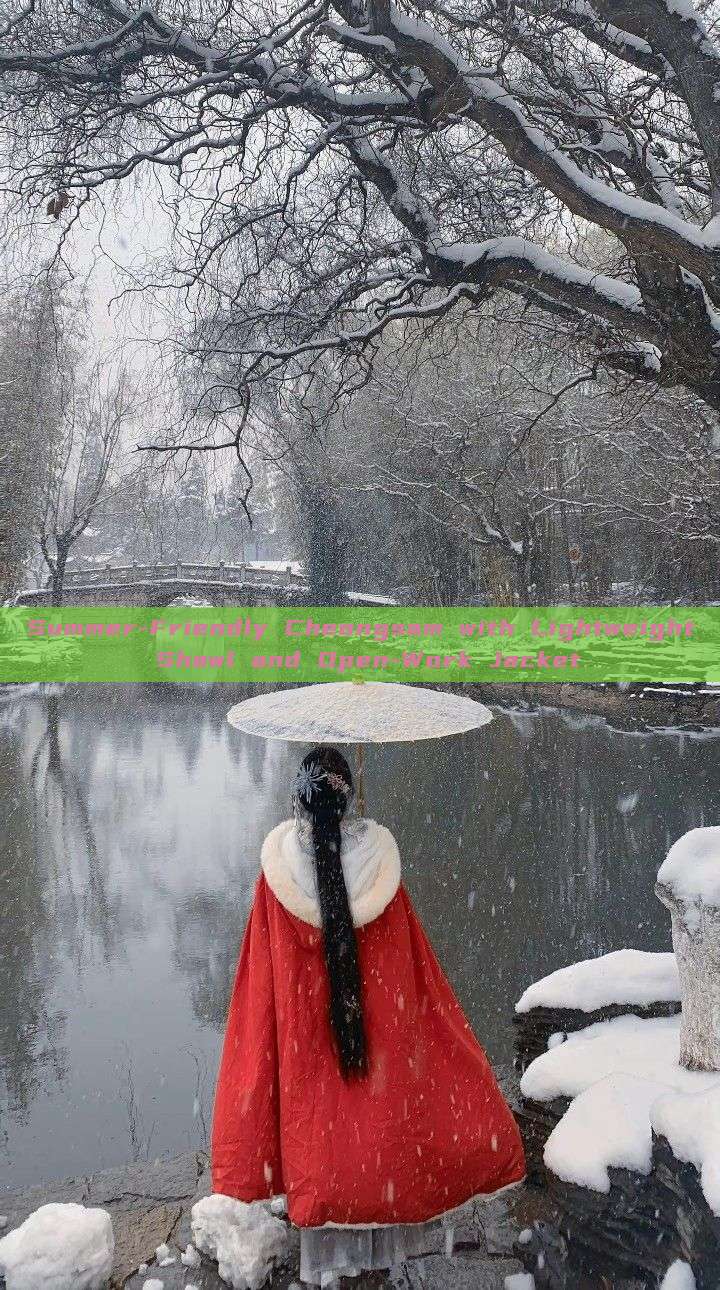 Summer-Friendly Cheongsam with Lightweight Shawl and Open-Work Jacket Summer-Friendly Cheongsam with Lightweight Shawl and Open-Work Jacket