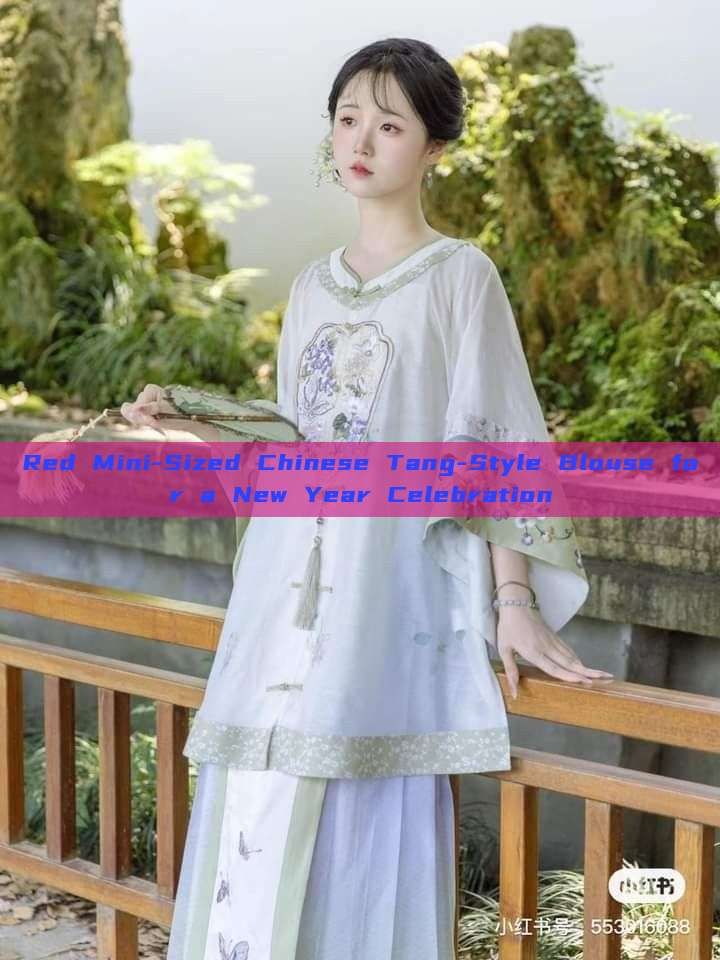 Red Mini-Sized Chinese Tang-Style Blouse for a New Year Celebration Red Mini-Sized Chinese Tang-Style Blouse for a New Year Celebration