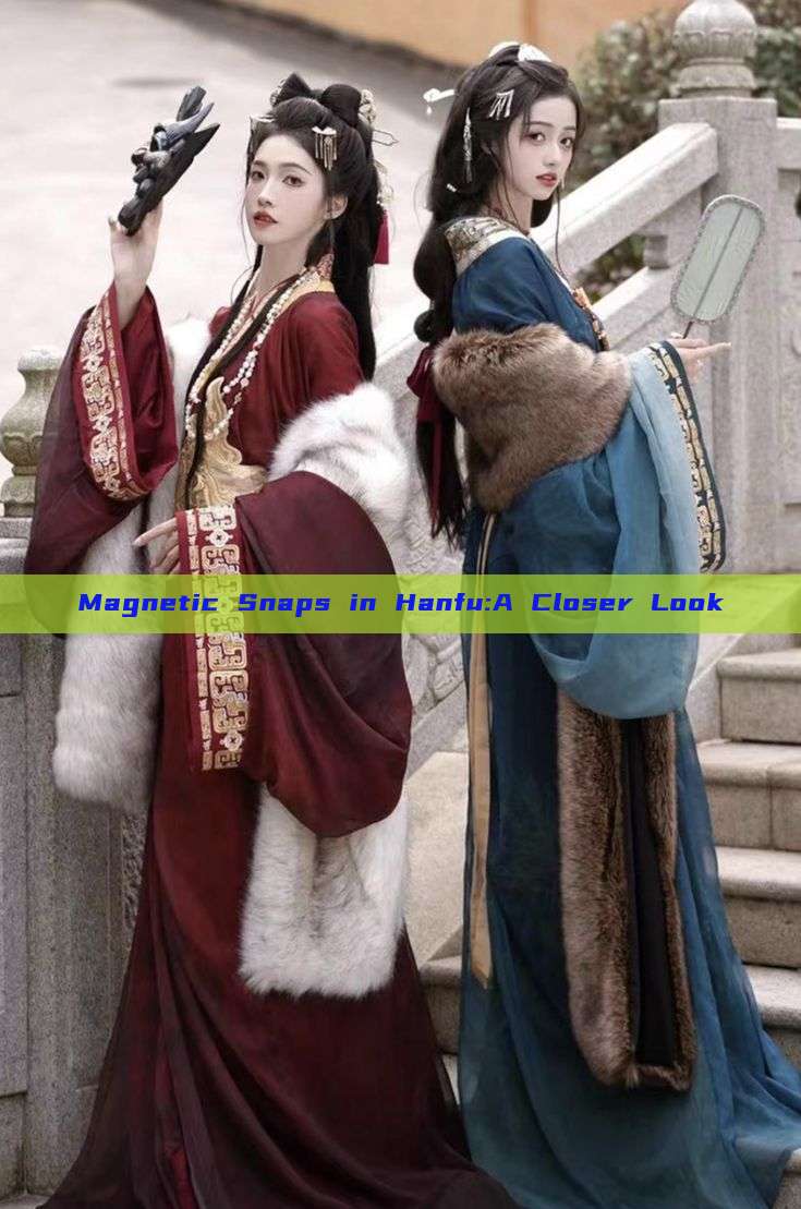 Magnetic Snaps in Hanfu:A Closer Look Magnetic Snaps in Hanfu:A Closer Look