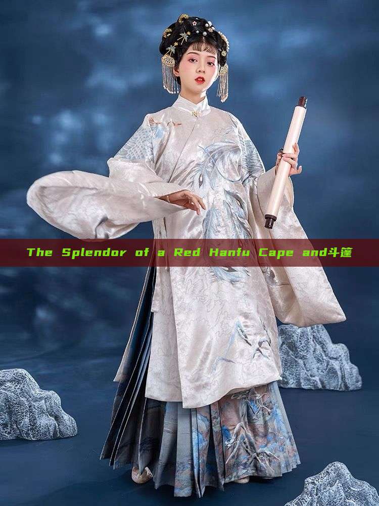 The Splendor of a Red Hanfu Cape and斗篷 The Splendor of a Red Hanfu Cape and斗篷