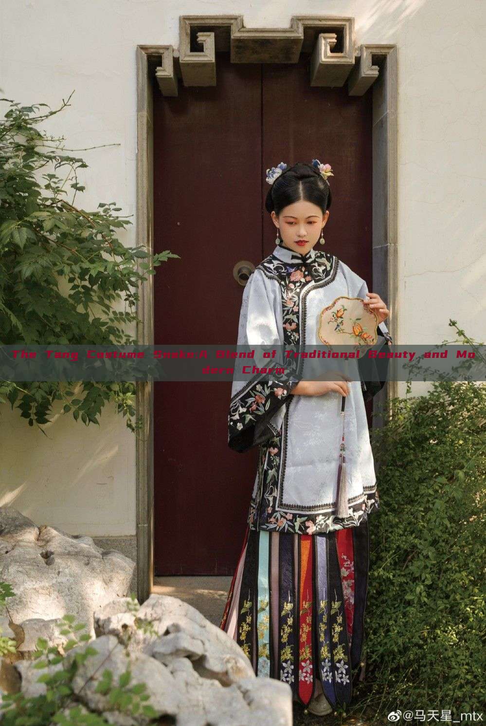 The Tang Costume Snake:A Blend of Traditional Beauty and Modern Charm The Tang Costume Snake:A Blend of Traditional Beauty and Modern Charm