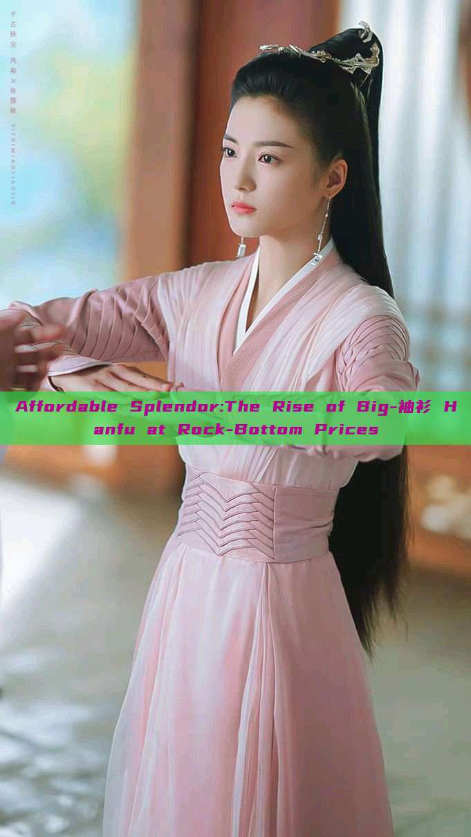 Affordable Splendor:The Rise of Big-袖衫 Hanfu at Rock-Bottom Prices Affordable Splendor:The Rise of Big-袖衫 Hanfu at Rock-Bottom Prices