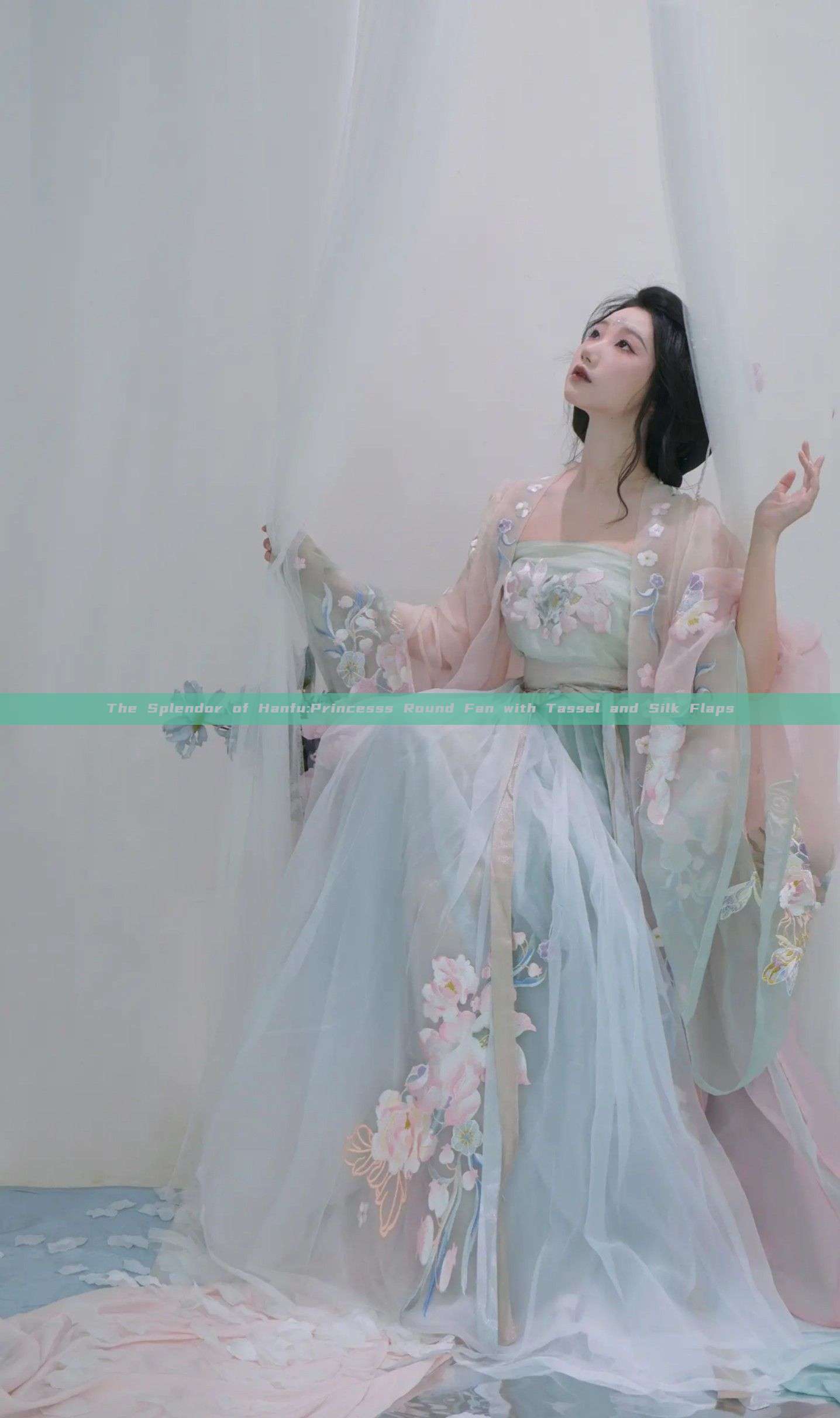 The Splendor of Hanfu:Princesss Round Fan with Tassel and Silk Flaps The Splendor of Hanfu:Princesss Round Fan with Tassel and Silk Flaps