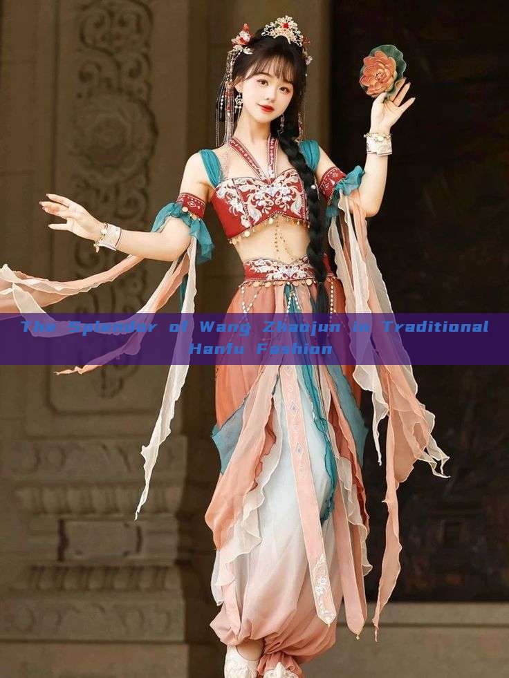 The Splendor of Wang Zhaojun in Traditional Hanfu Fashion The Splendor of Wang Zhaojun in Traditional Hanfu Fashion