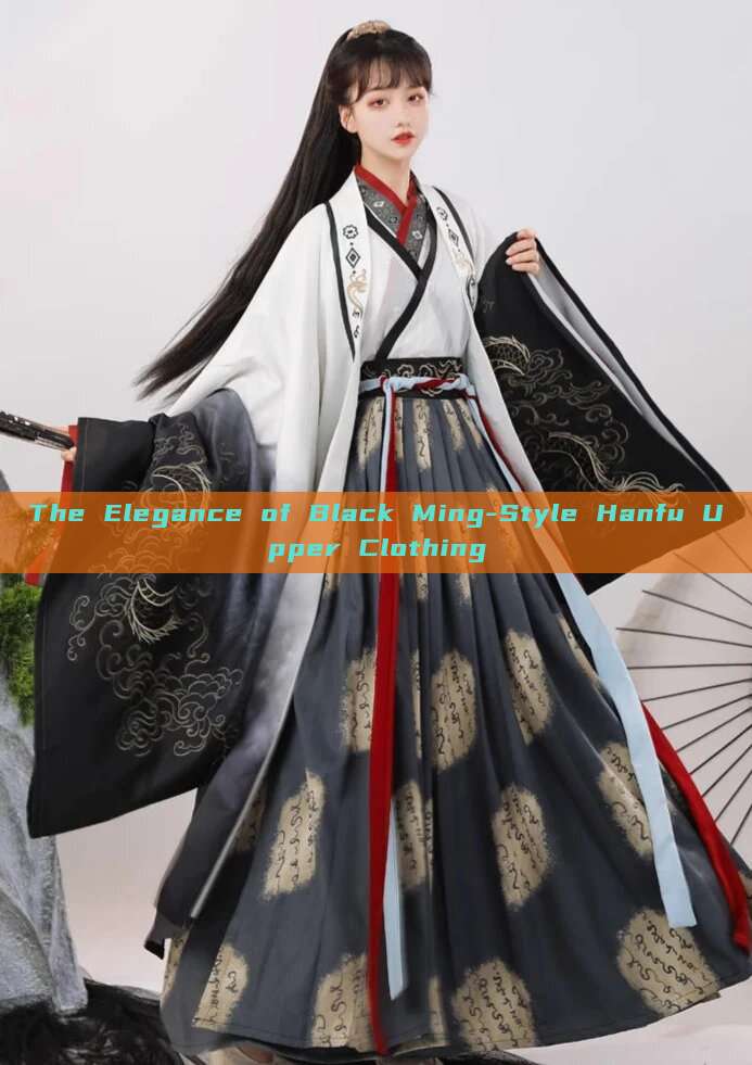 The Elegance of Black Ming-Style Hanfu Upper Clothing The Elegance of Black Ming-Style Hanfu Upper Clothing
