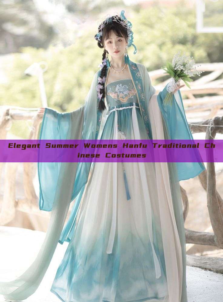 Elegant Summer Womens Hanfu Traditional Chinese Costumes Elegant Summer Womens Hanfu Traditional Chinese Costumes