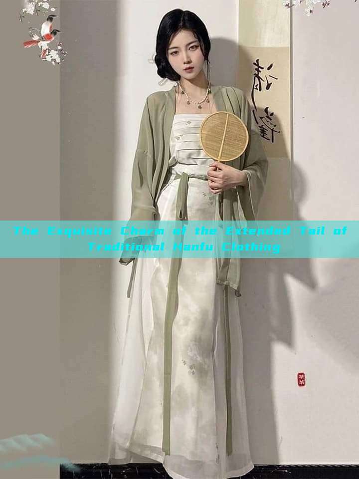 The Exquisite Charm of the Extended Tail of Traditional Hanfu Clothing