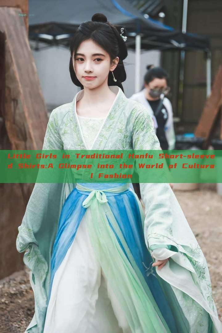 Little Girls in Traditional Hanfu Short-sleeved Shirts:A Glimpse into the World of Cultural Fashion Little Girls in Traditional Hanfu Short-sleeved Shirts:A Glimpse into the World of Cultural Fashion