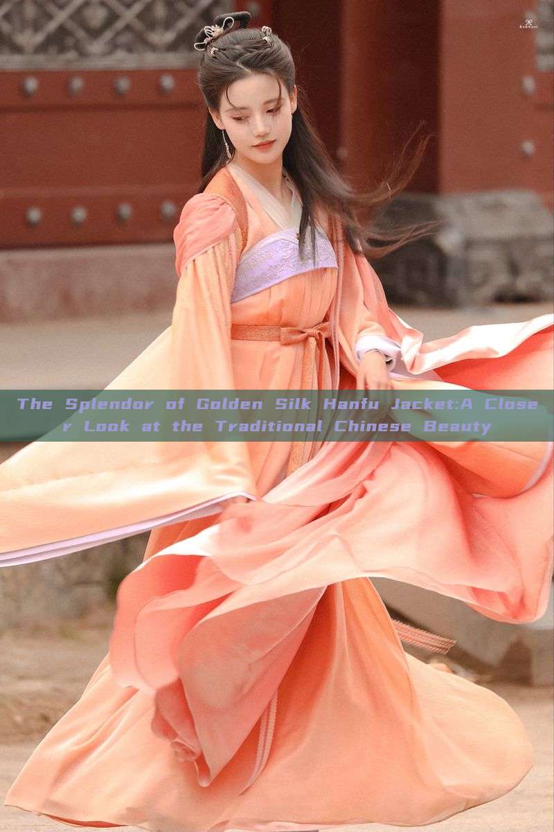 The Splendor of Golden Silk Hanfu Jacket:A Closer Look at the Traditional Chinese Beauty The Splendor of Golden Silk Hanfu Jacket:A Closer Look at the Traditional Chinese Beauty